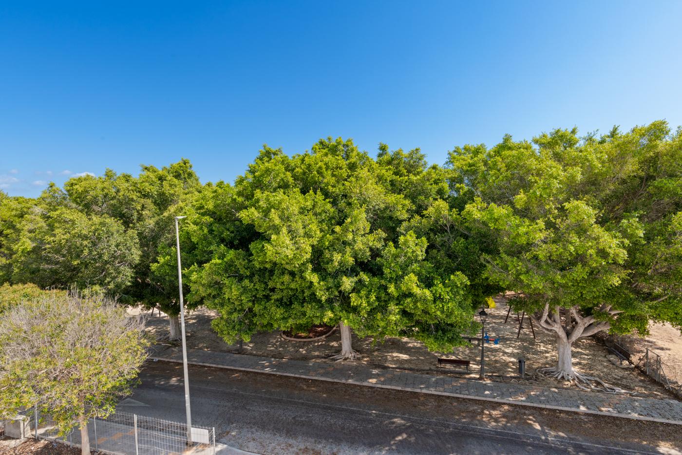 Villa for Sale in Orihuela