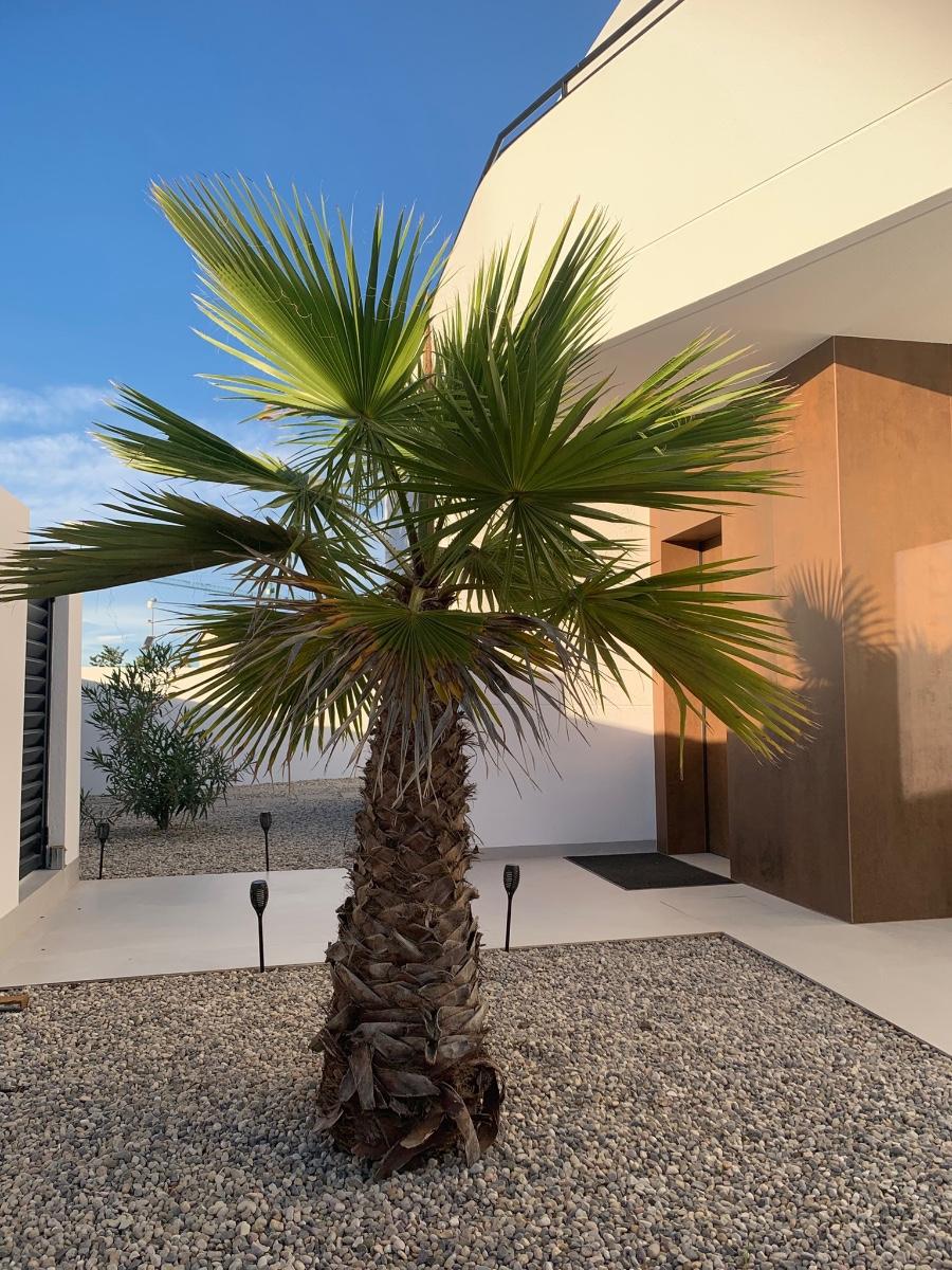 Villa en Venta en Rojales