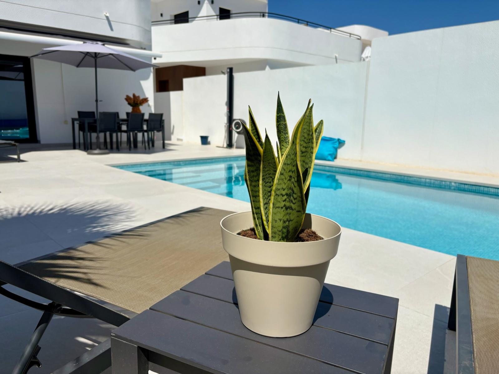 Villa en Venta en Rojales