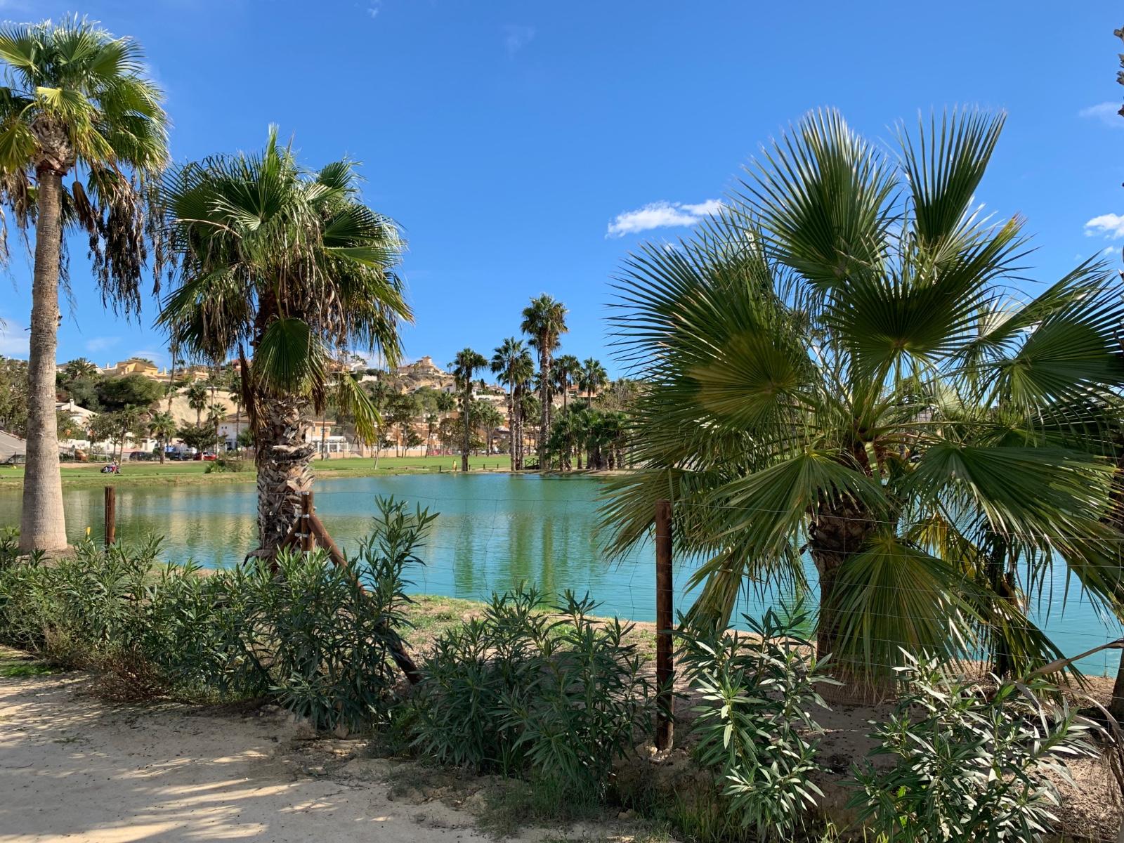 Villa en Venta en Rojales