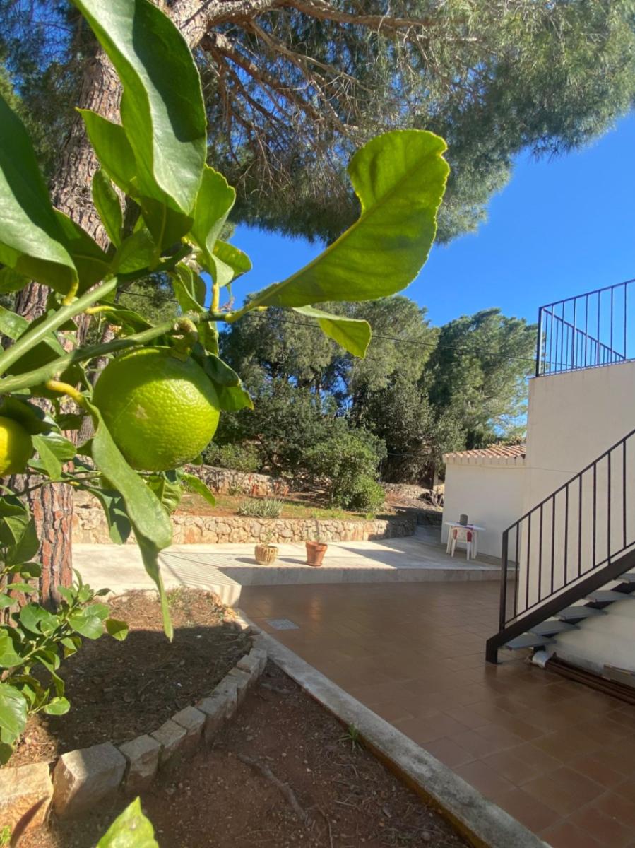 Villa for Sale in Dénia
