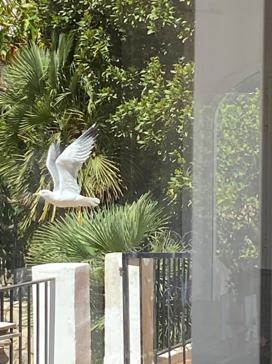 Villa for Sale in Dénia