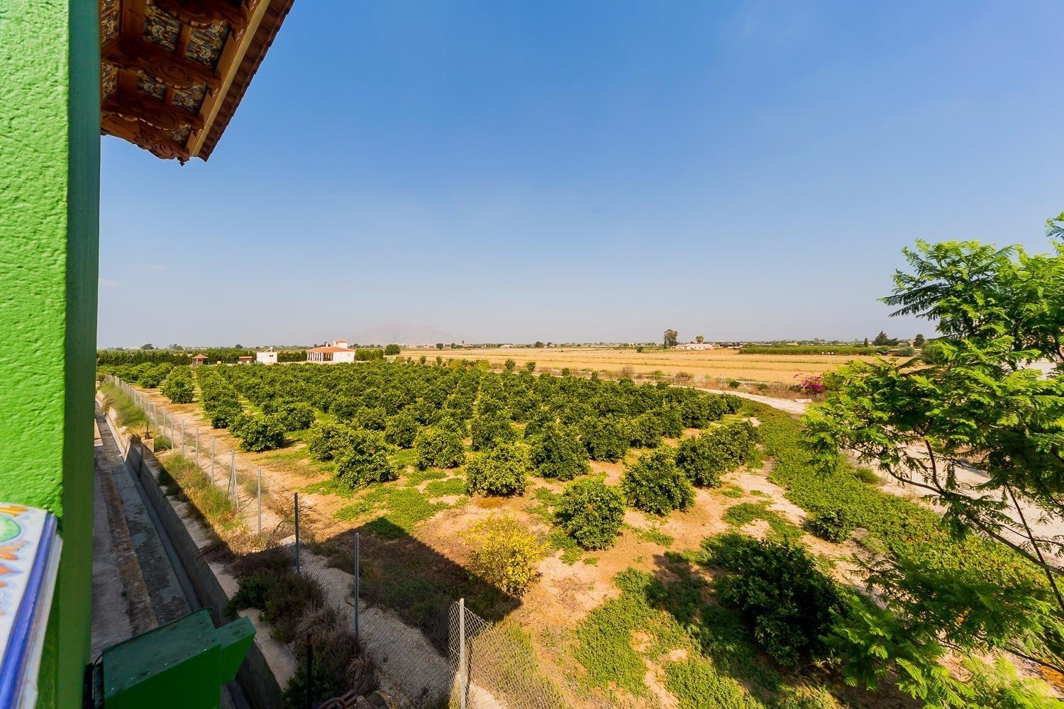 Finca en Venta en Almoradí