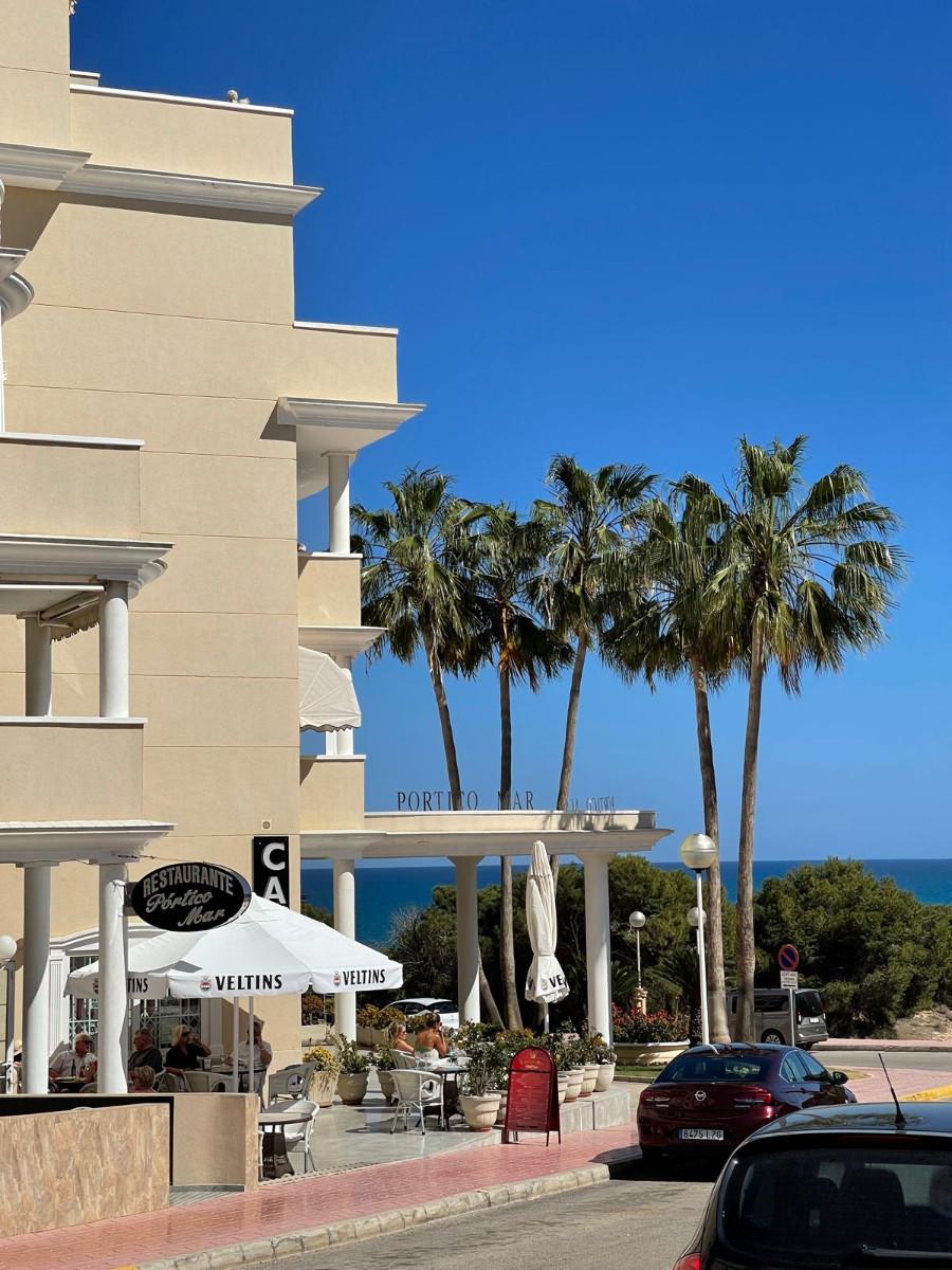 Premise for Sale in Guardamar del Segura