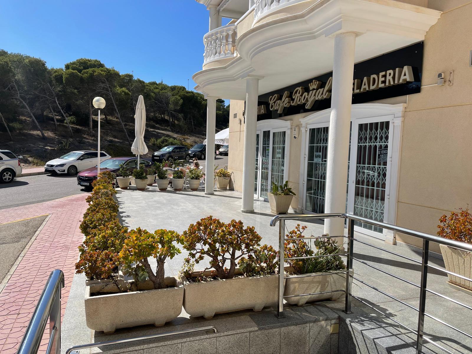 Premise for Sale in Guardamar del Segura