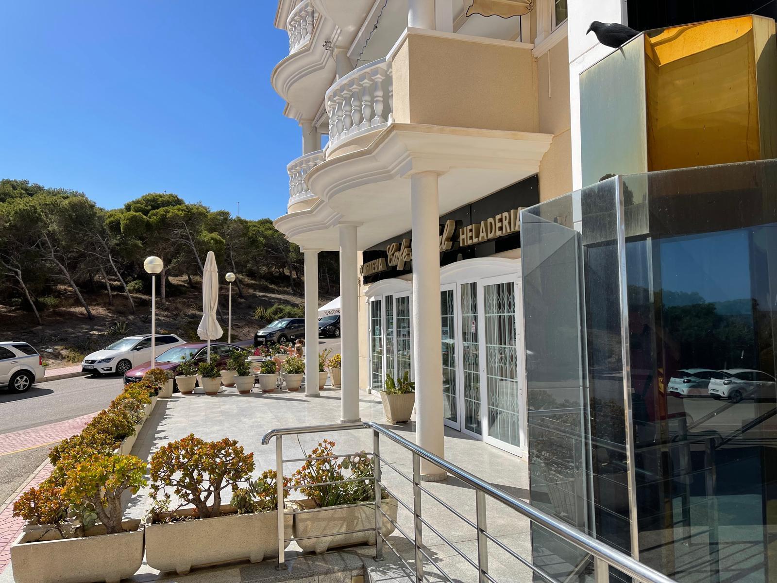 Premise for Sale in Guardamar del Segura