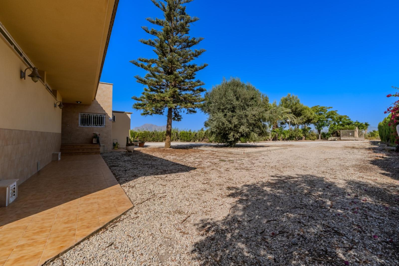 Finca en Venta en Almoradí