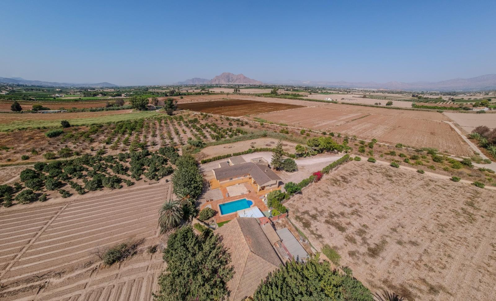 Finca en Venta en Almoradí
