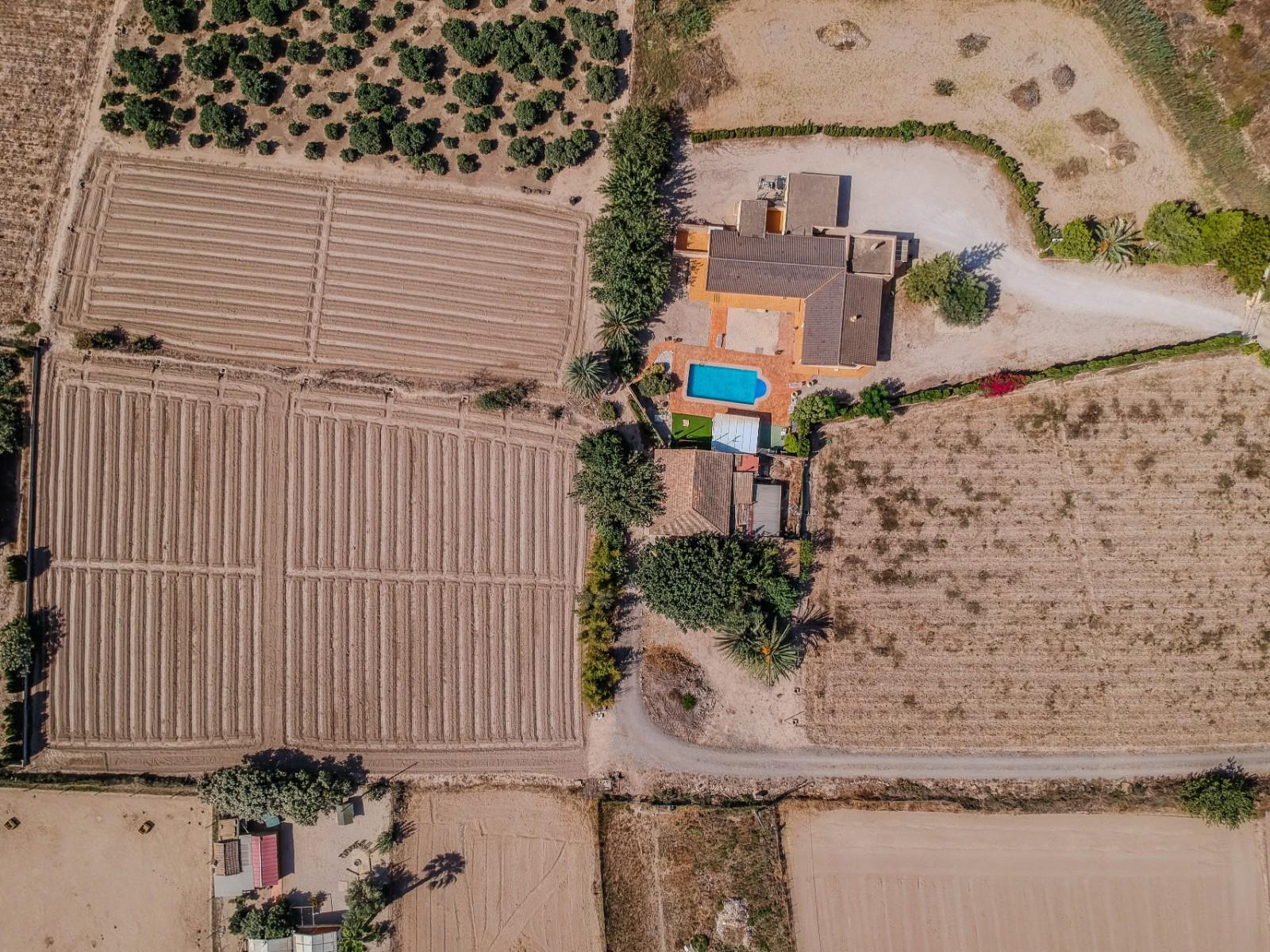 Finca en Venta en Almoradí