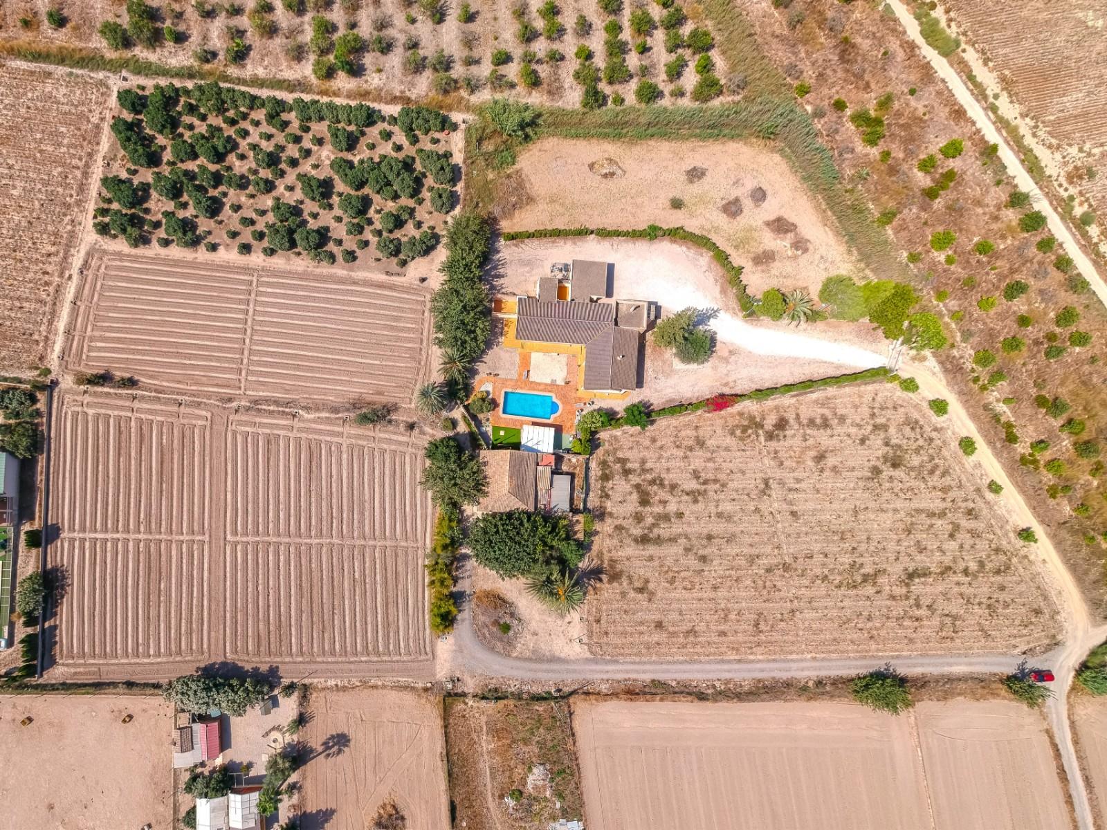 Finca en Venta en Almoradí