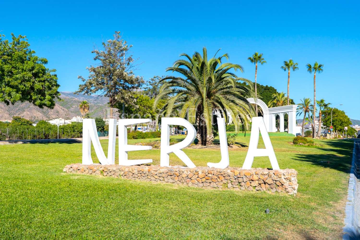 Premise for Sale in Nerja