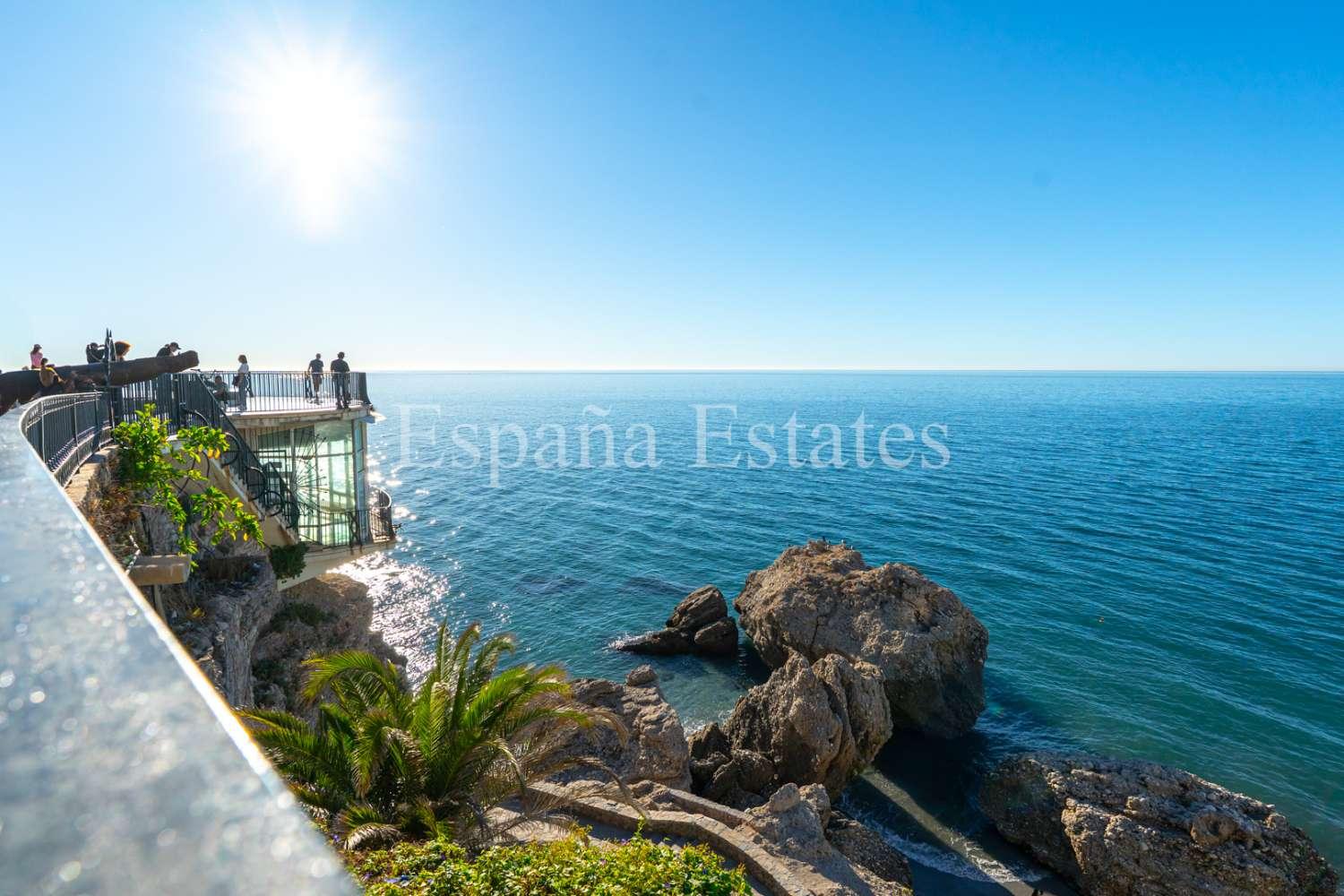 Premise for Sale in Nerja