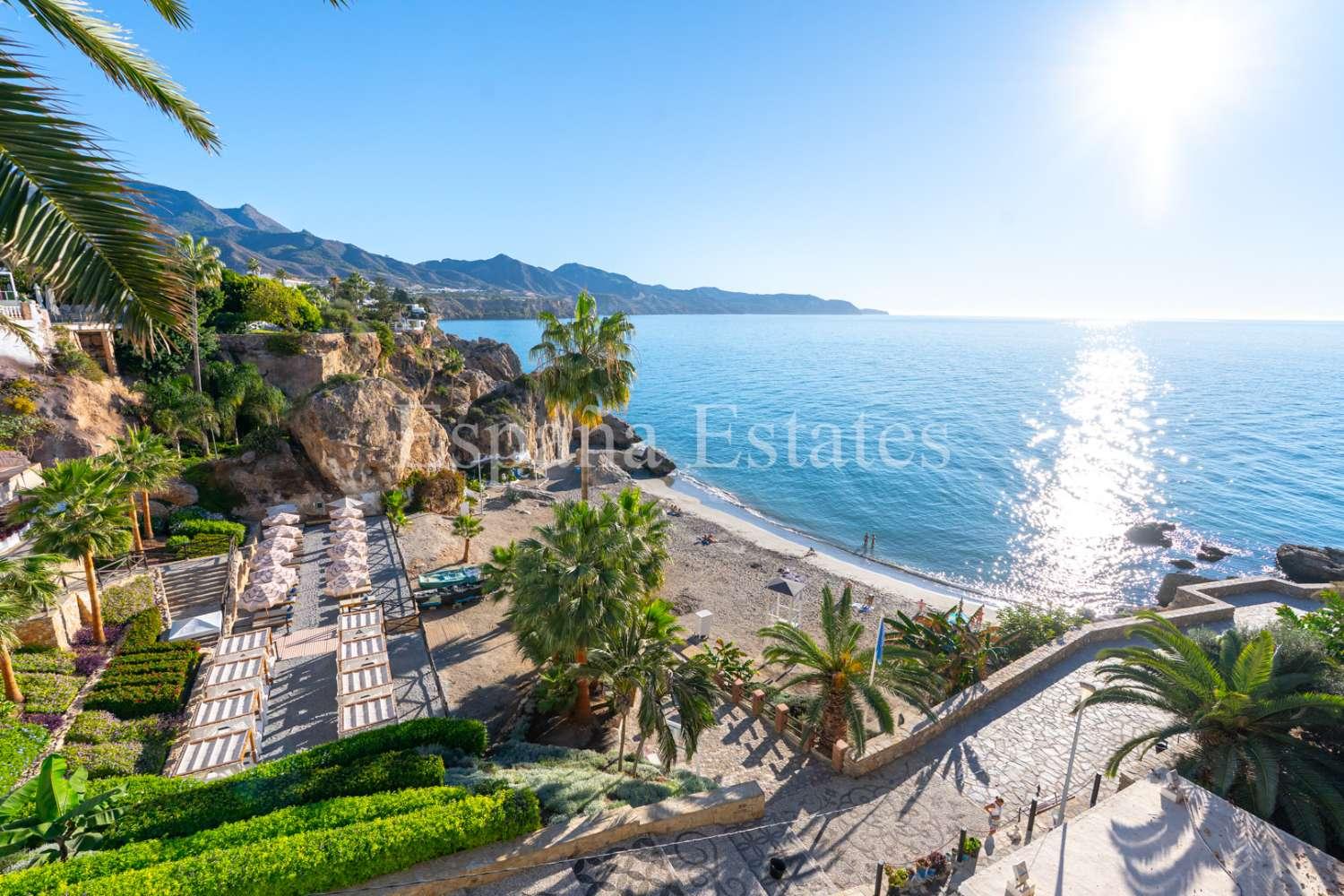 Premise for Sale in Nerja