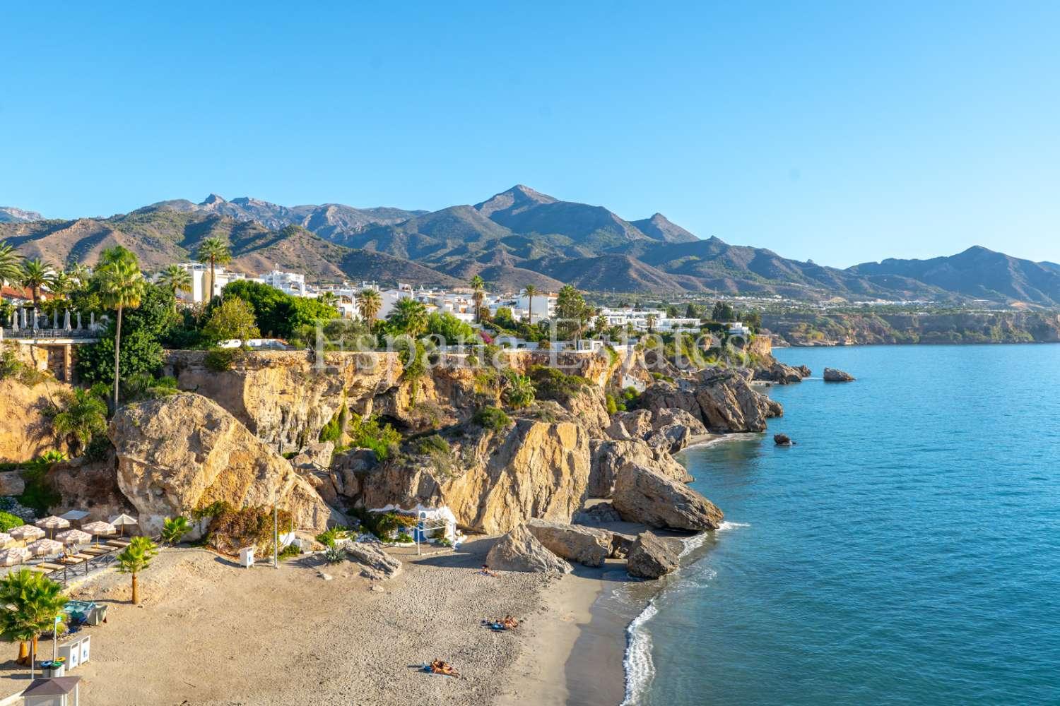 Premise for Sale in Nerja