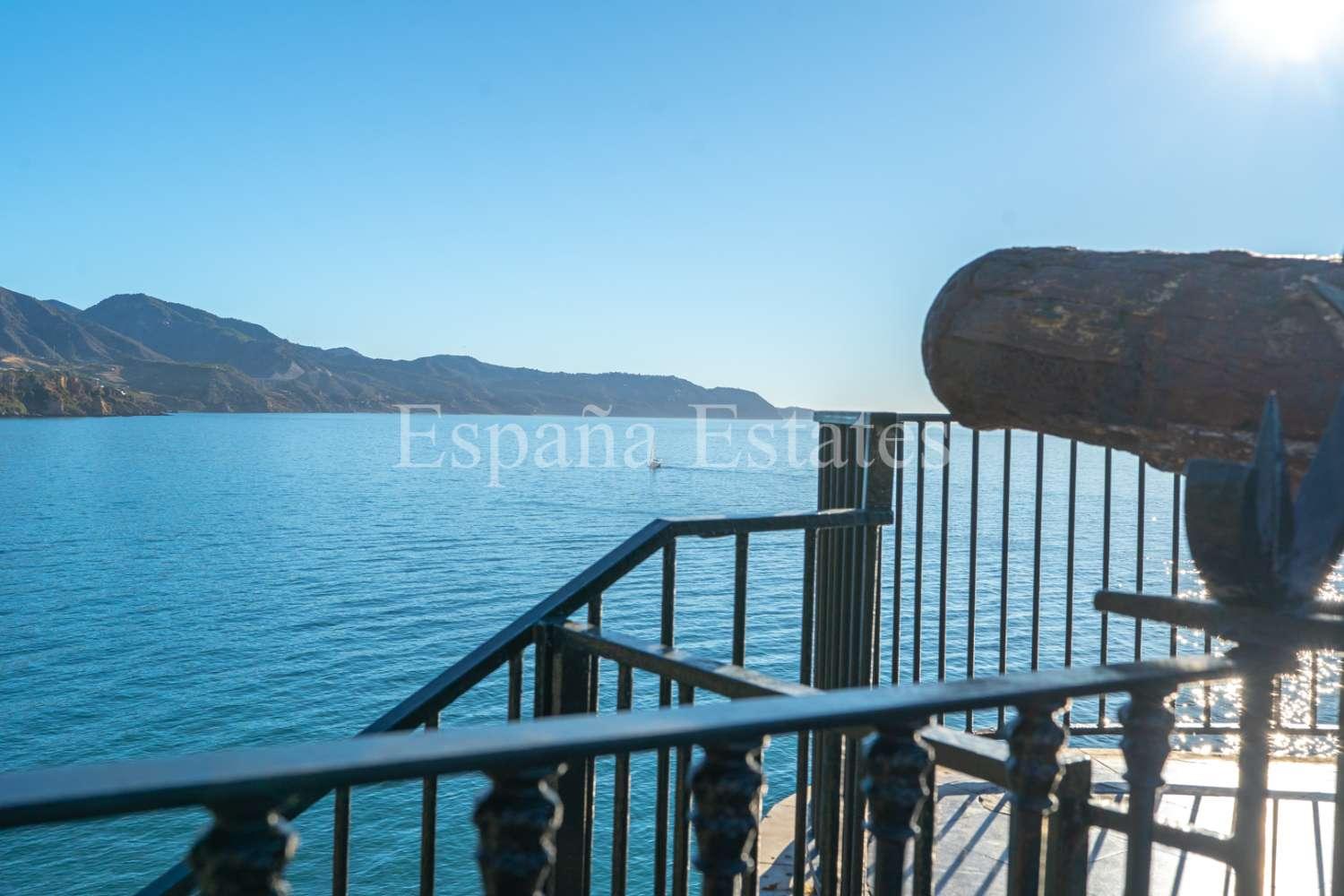 Premise for Sale in Nerja