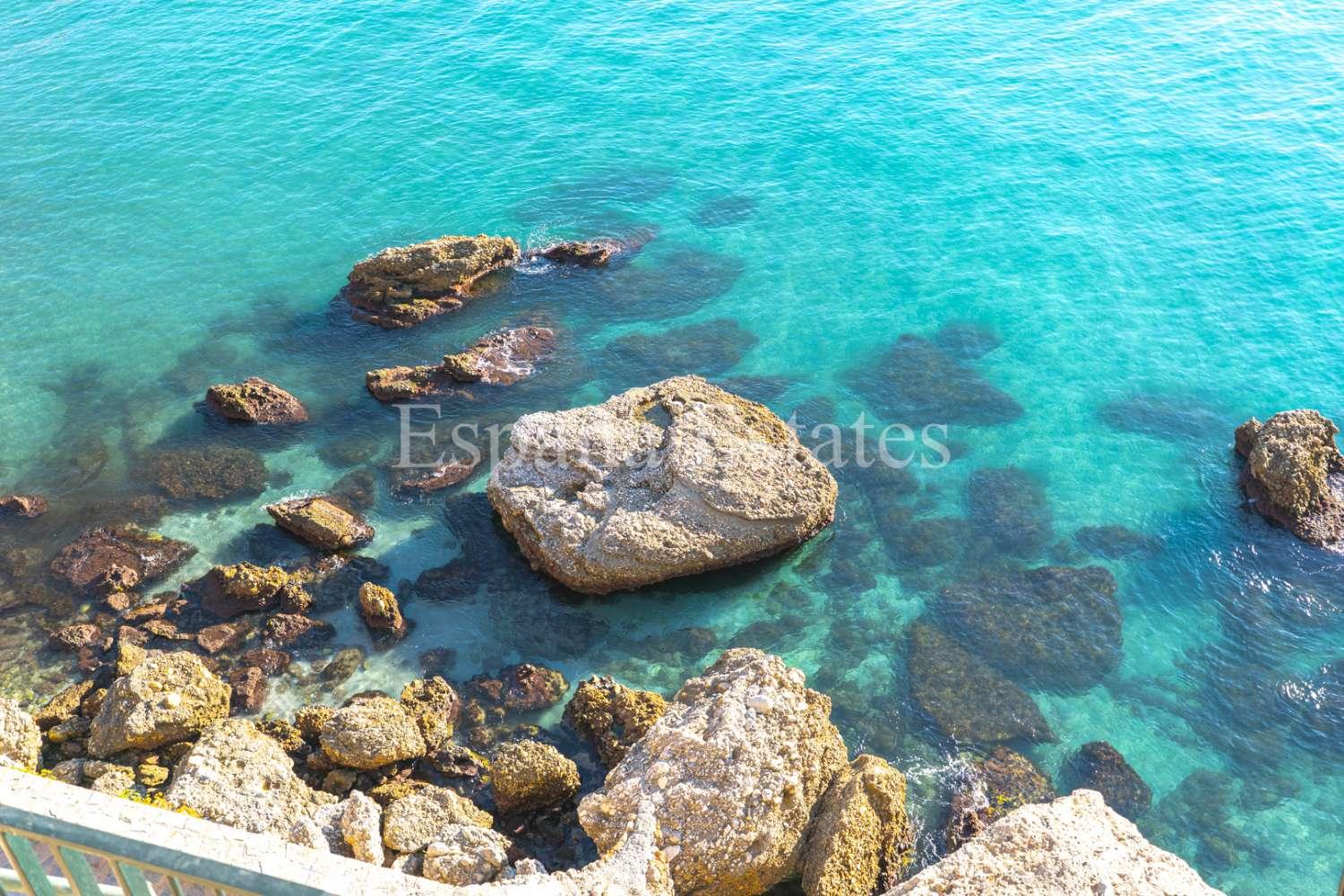 Premise for Sale in Nerja