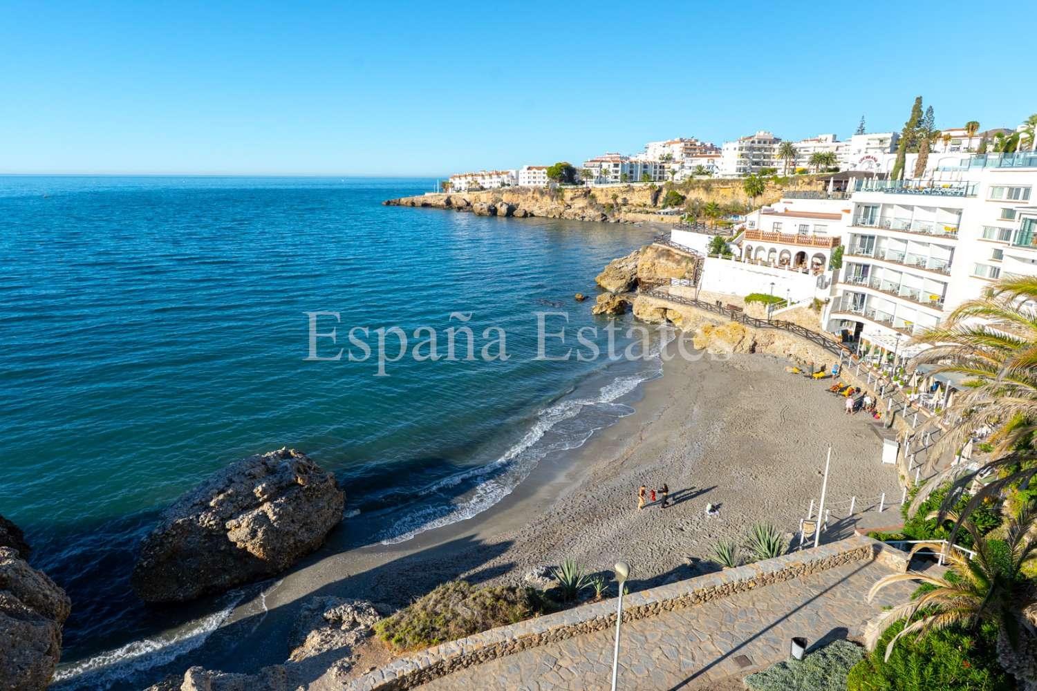 Premise for Sale in Nerja