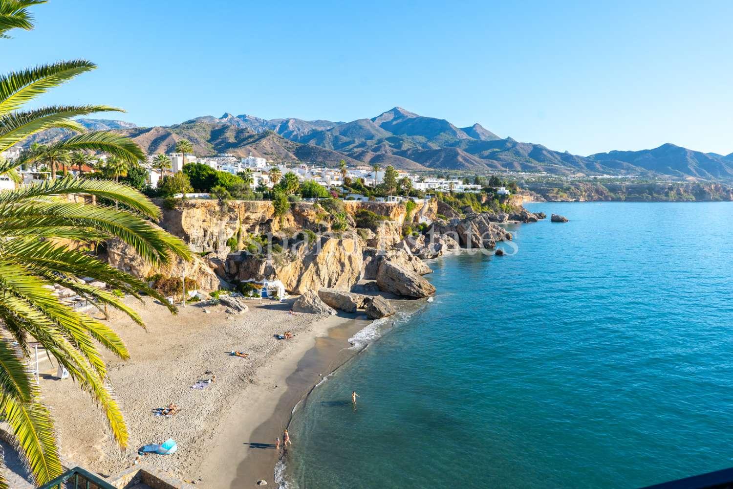 Premise for Sale in Nerja
