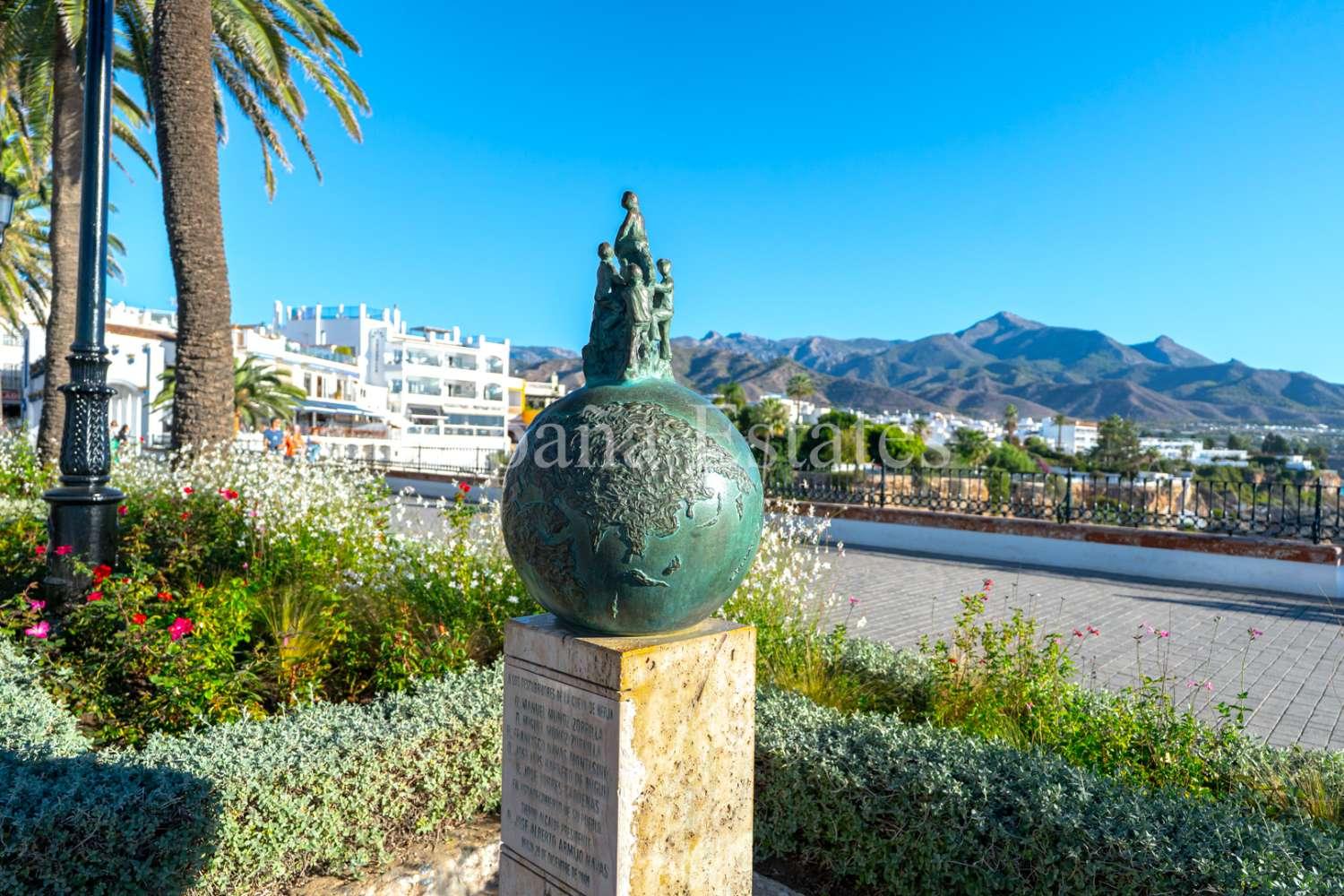 Premise for Sale in Nerja