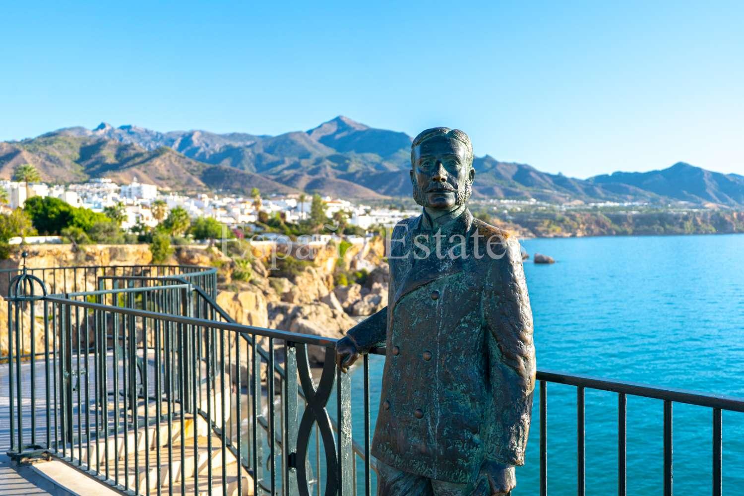 Premise for Sale in Nerja