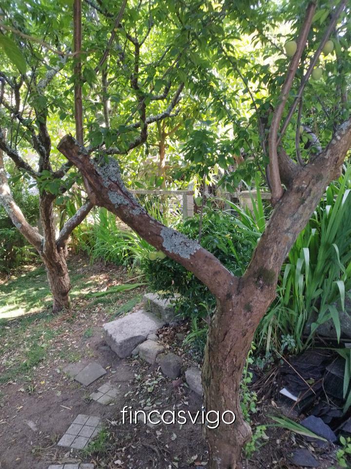 Casa en Venta en Vigo