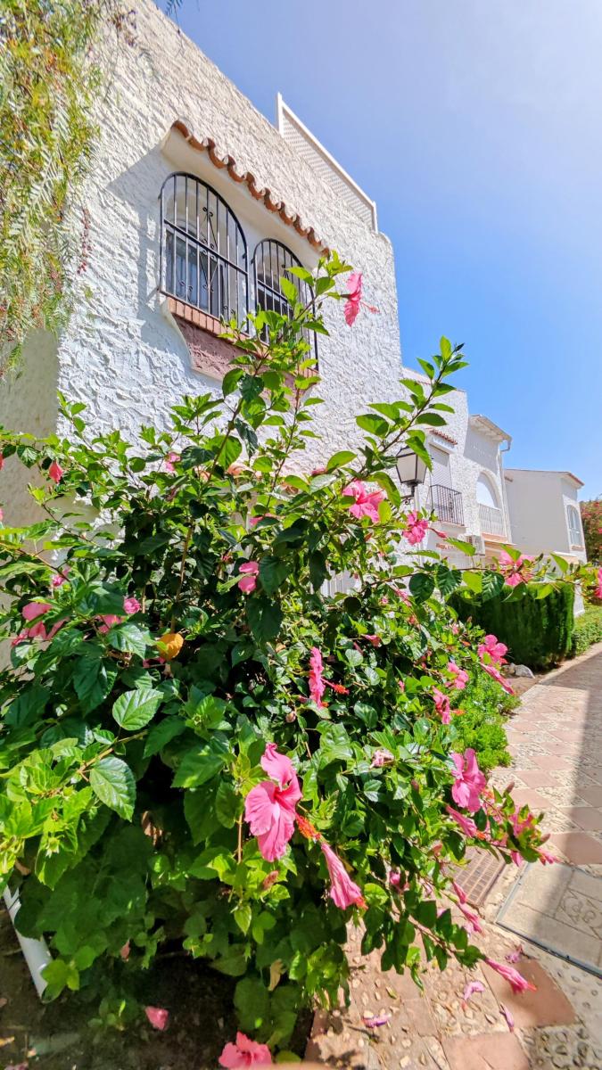 Apartment for Sale in Torrox