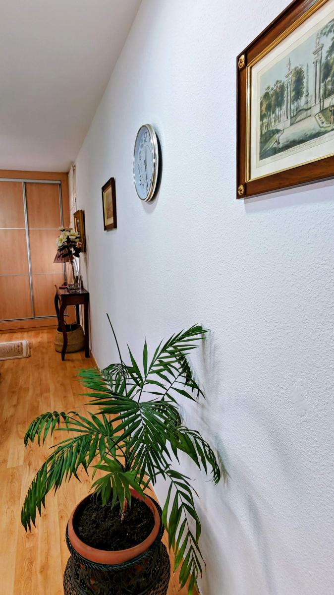 Apartment for Sale in Torrox