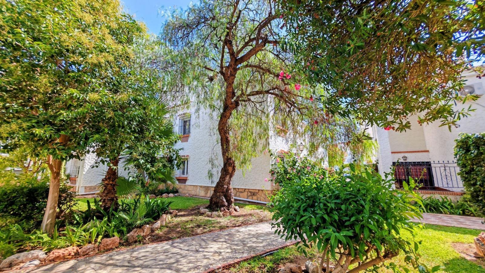 Apartment for Sale in Torrox