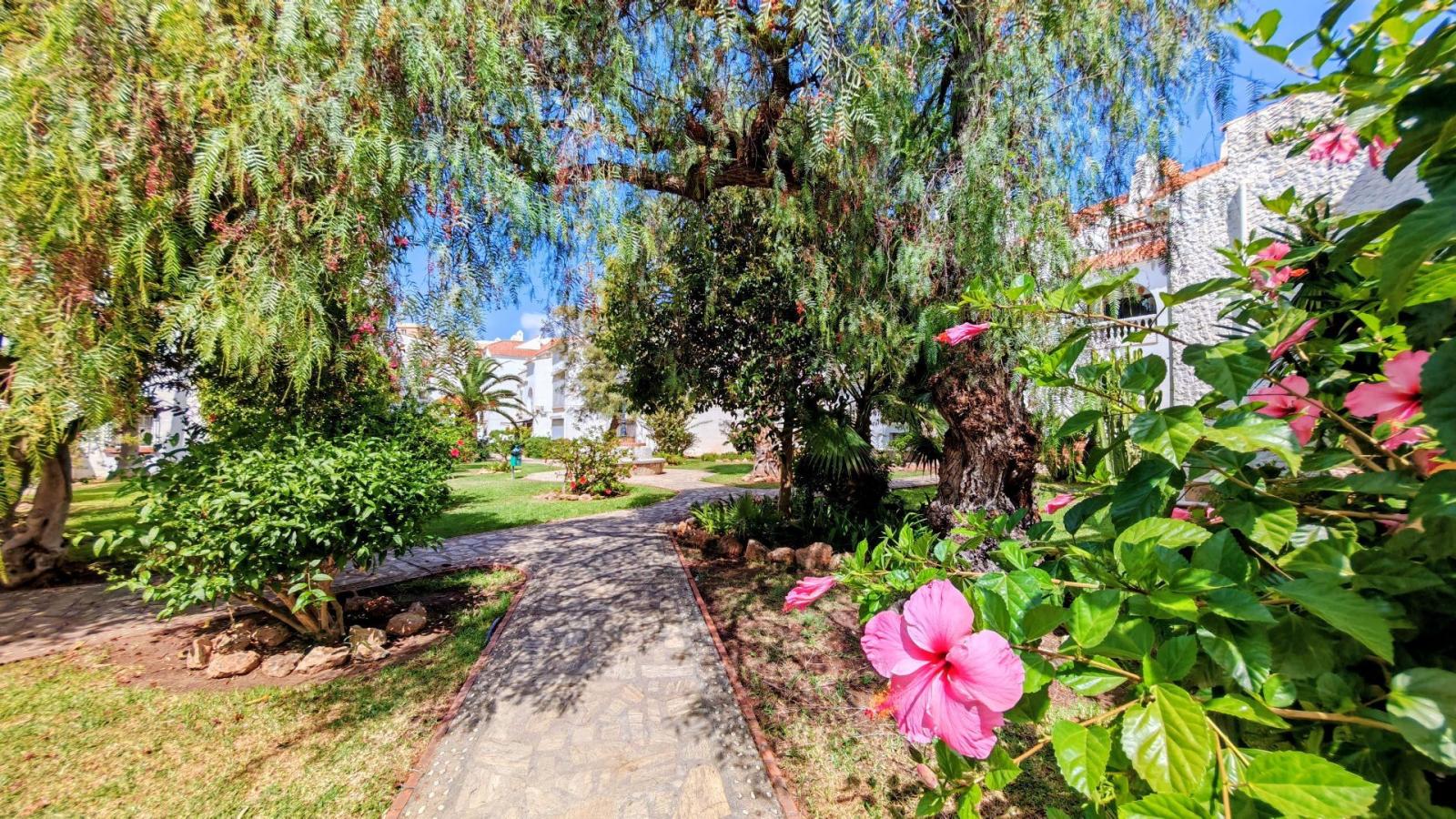 Apartment for Sale in Torrox