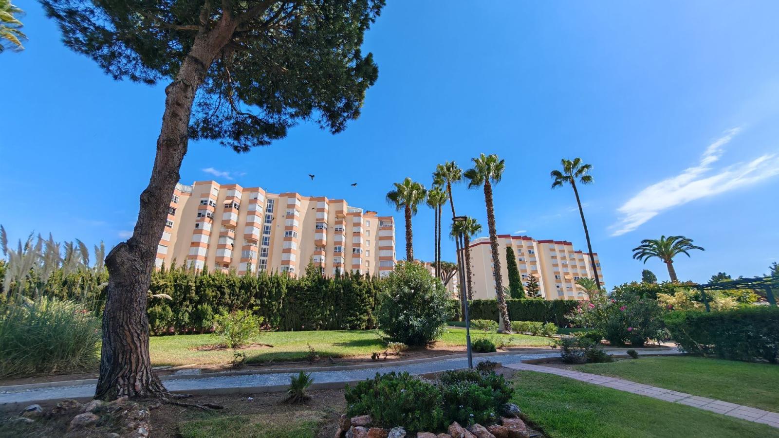 Studio for Sale in Torrox