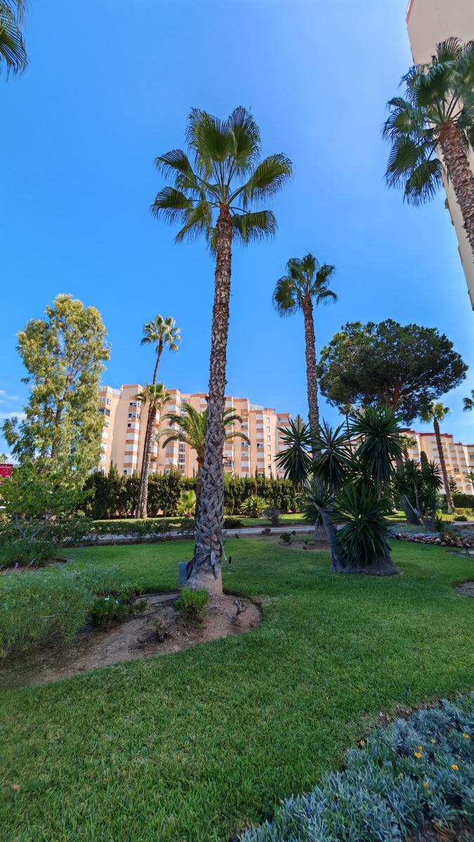 Studio for Sale in Torrox