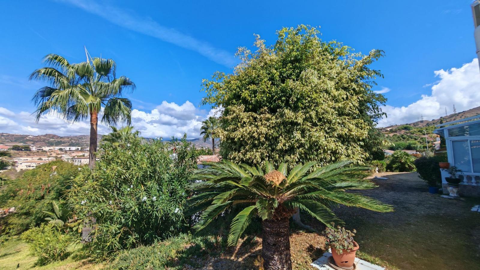 Flat for Sale in Torrox