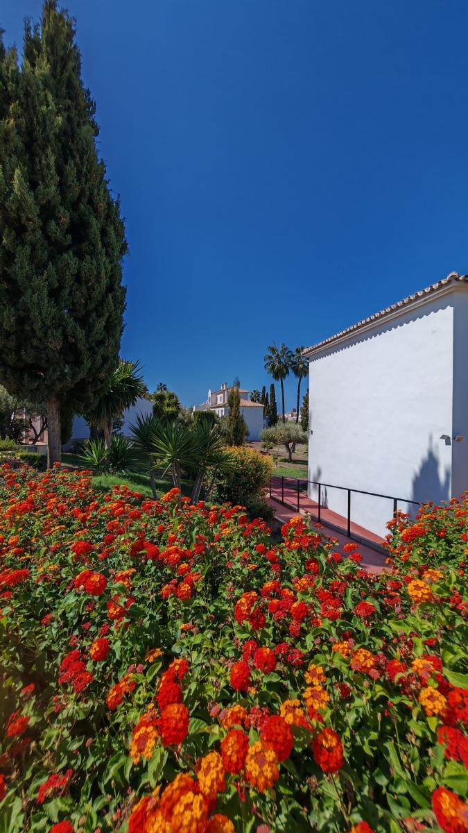 Flat for Sale in Torrox