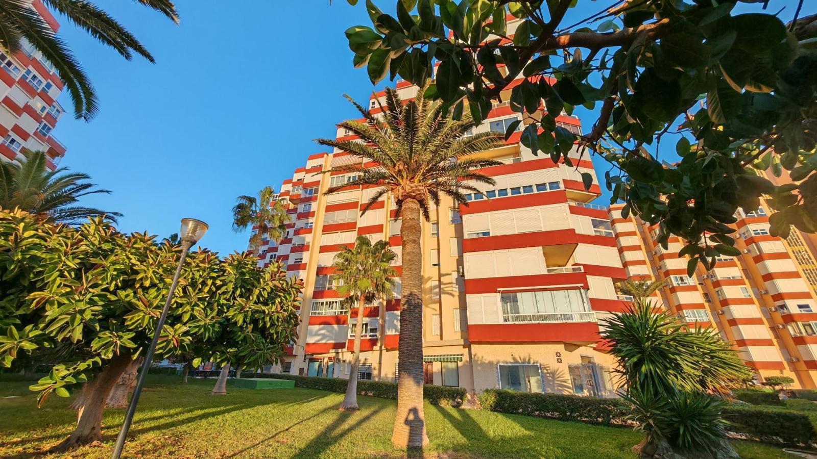 Studio for Sale in Torrox