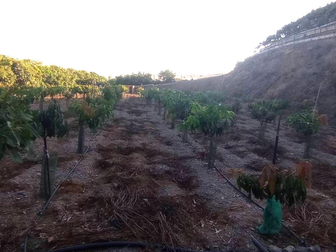 Chalet for Sale in Algarrobo