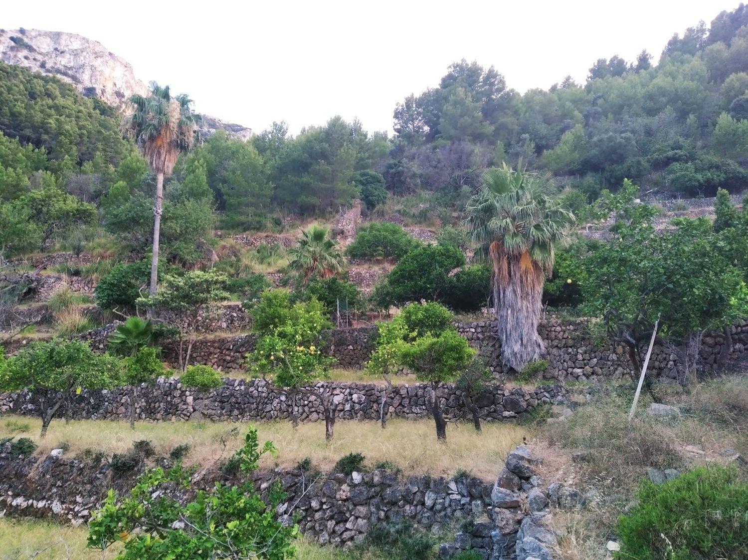 House for Sale in Deyá
