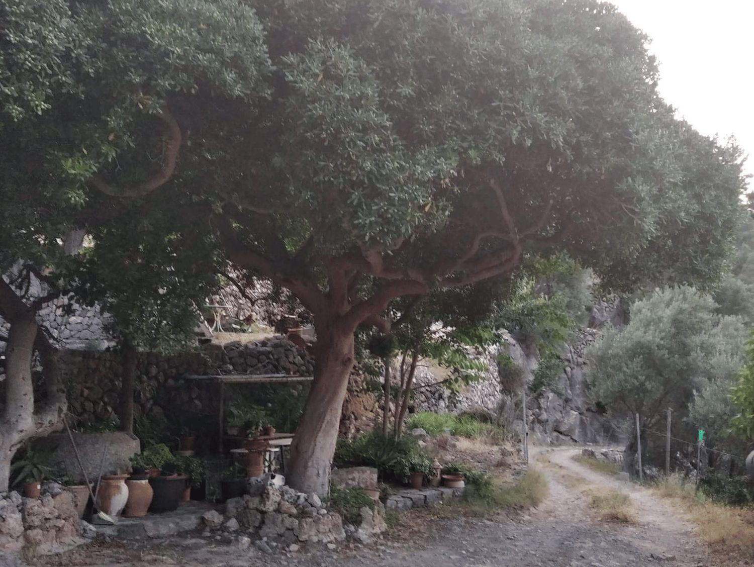 Casa en Venta en Deyá