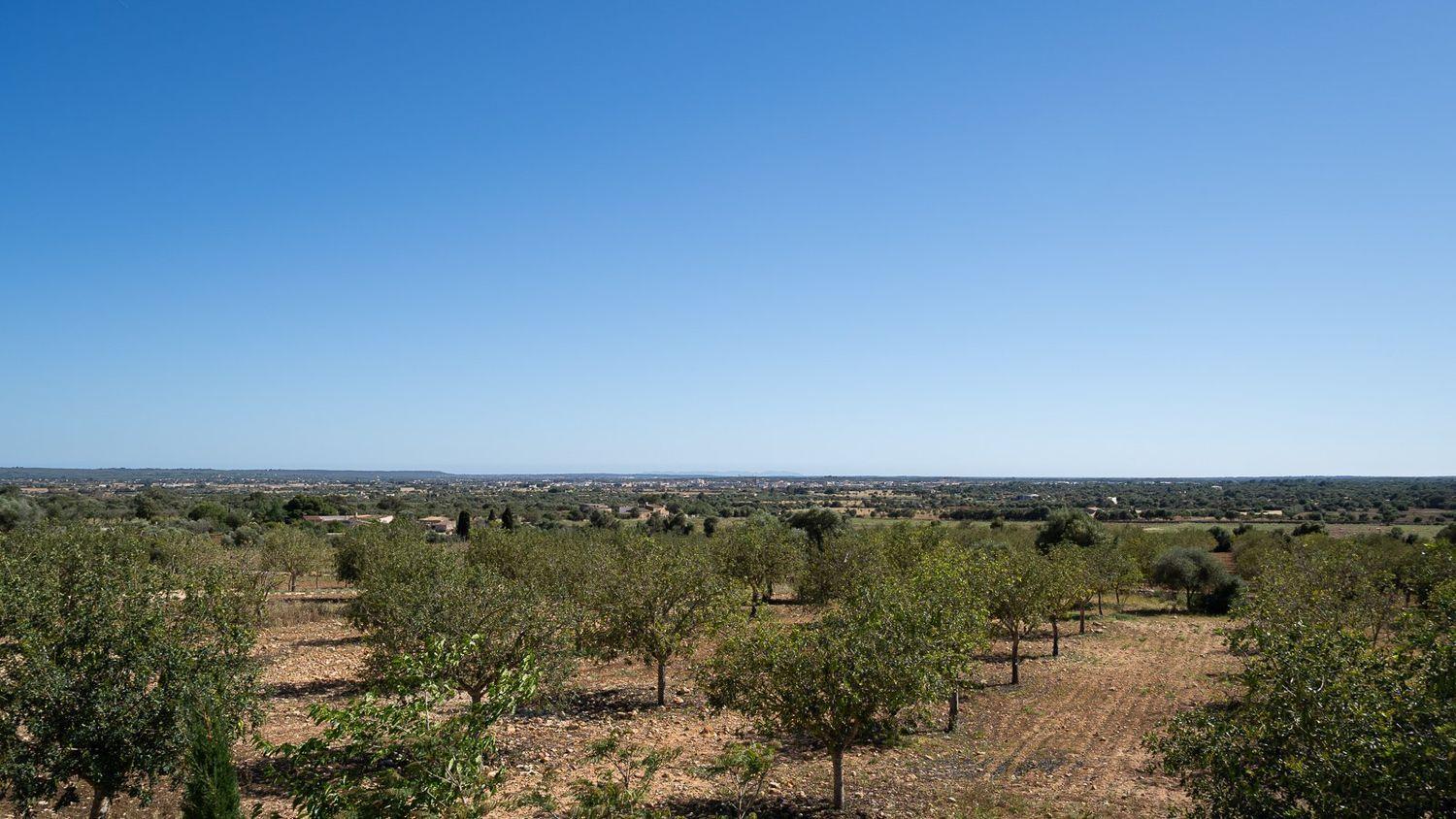 Casa en Venta en Campos