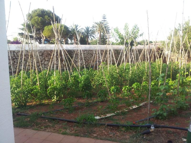 Casa en Venta en Mahón