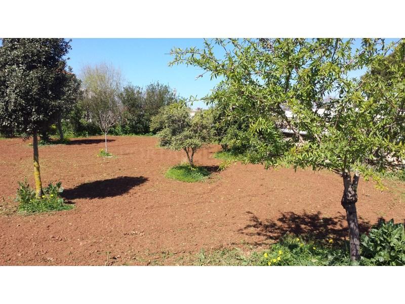 Casa en Venta en Mahón
