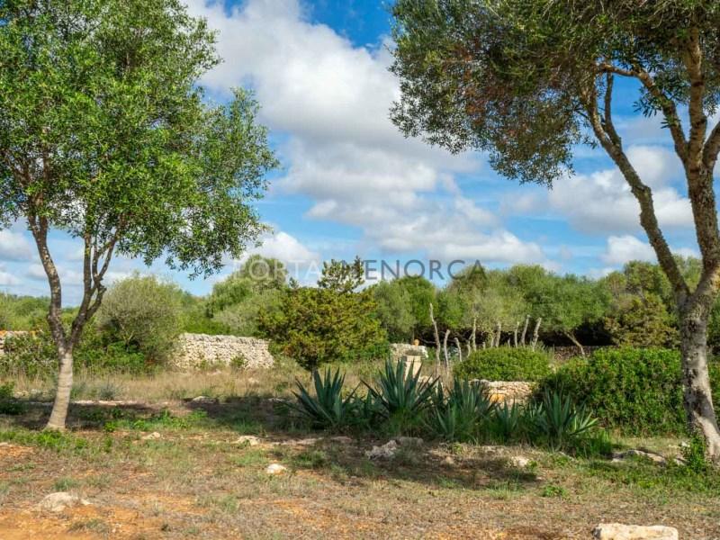 Casa en Venta en Sant Lluís