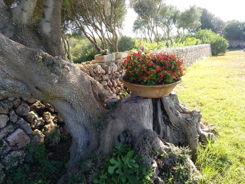 Casa en Venta en Sant Lluís