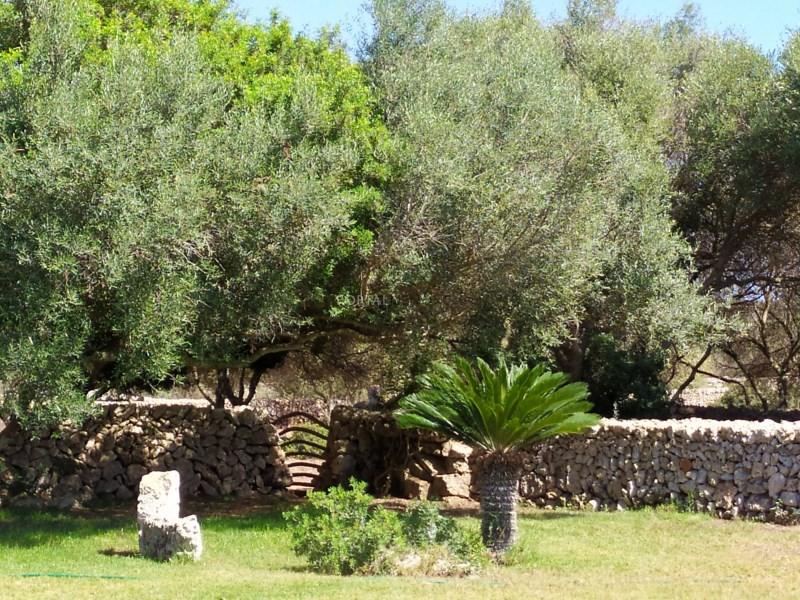 Casa en Venta en Sant Lluís