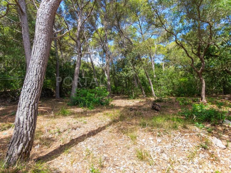 Chalet for Sale in Es Mercadal