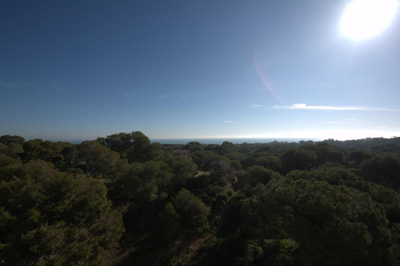 Apartamento en Venta en Guardamar del Segura