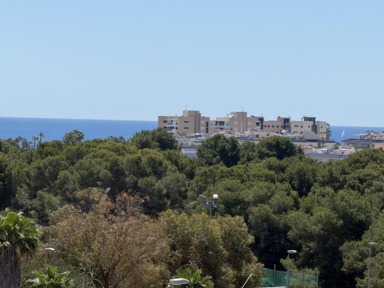 Villa en Venta en Pilar de la Horadada