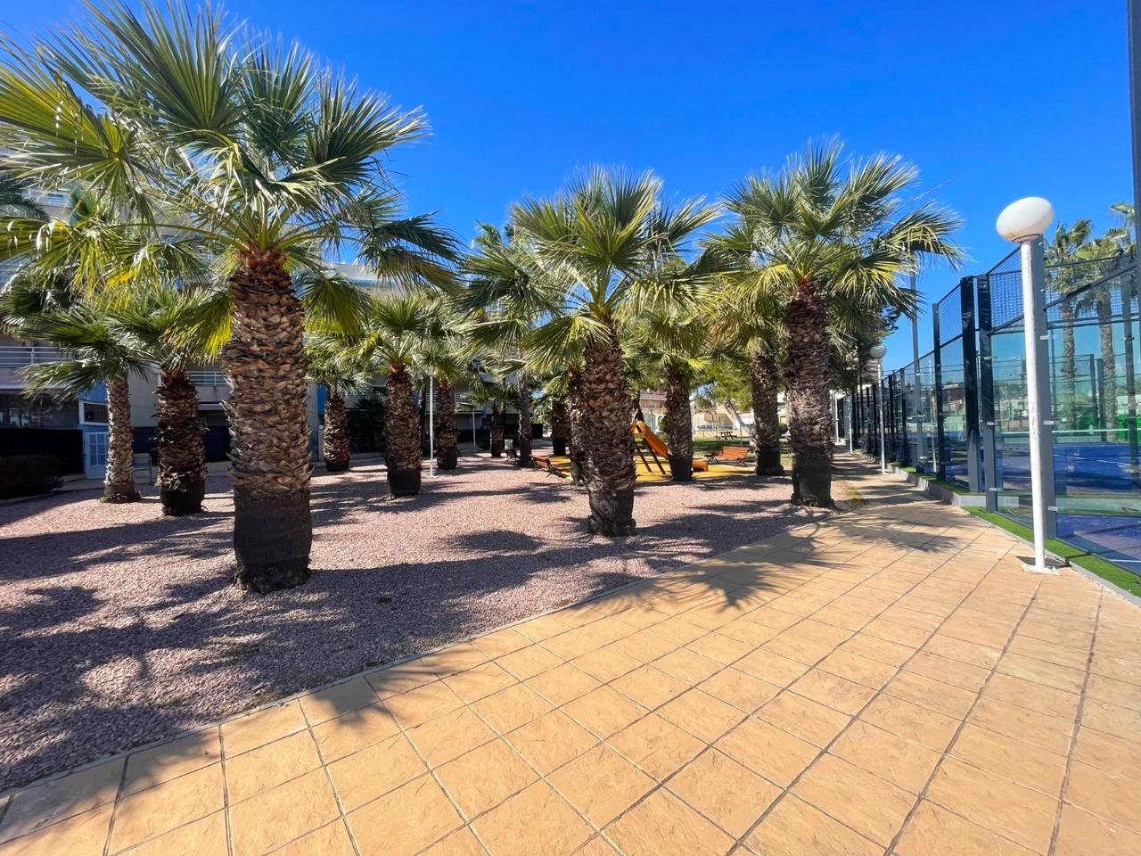 Apartamento en Venta en Orihuela