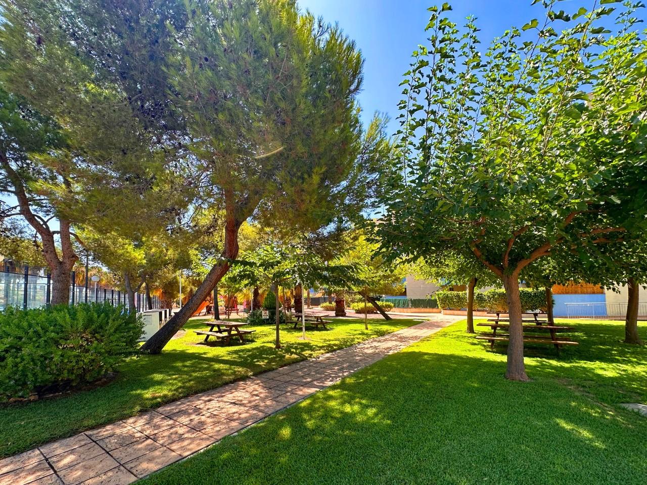 Apartamento en Venta en Orihuela