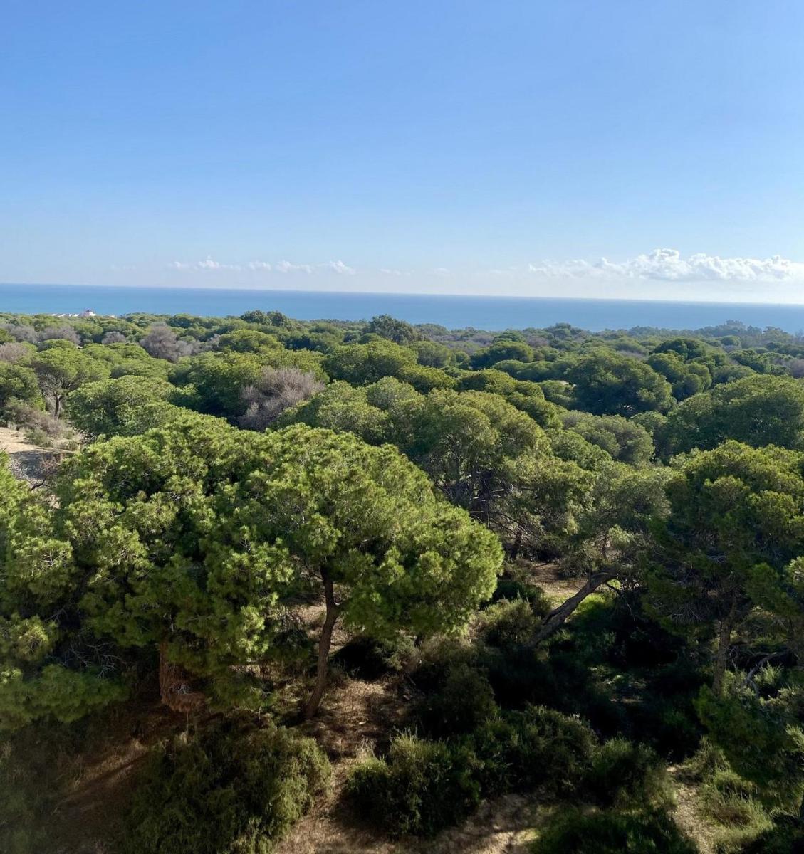 Apartamento en Venta en Guardamar del Segura
