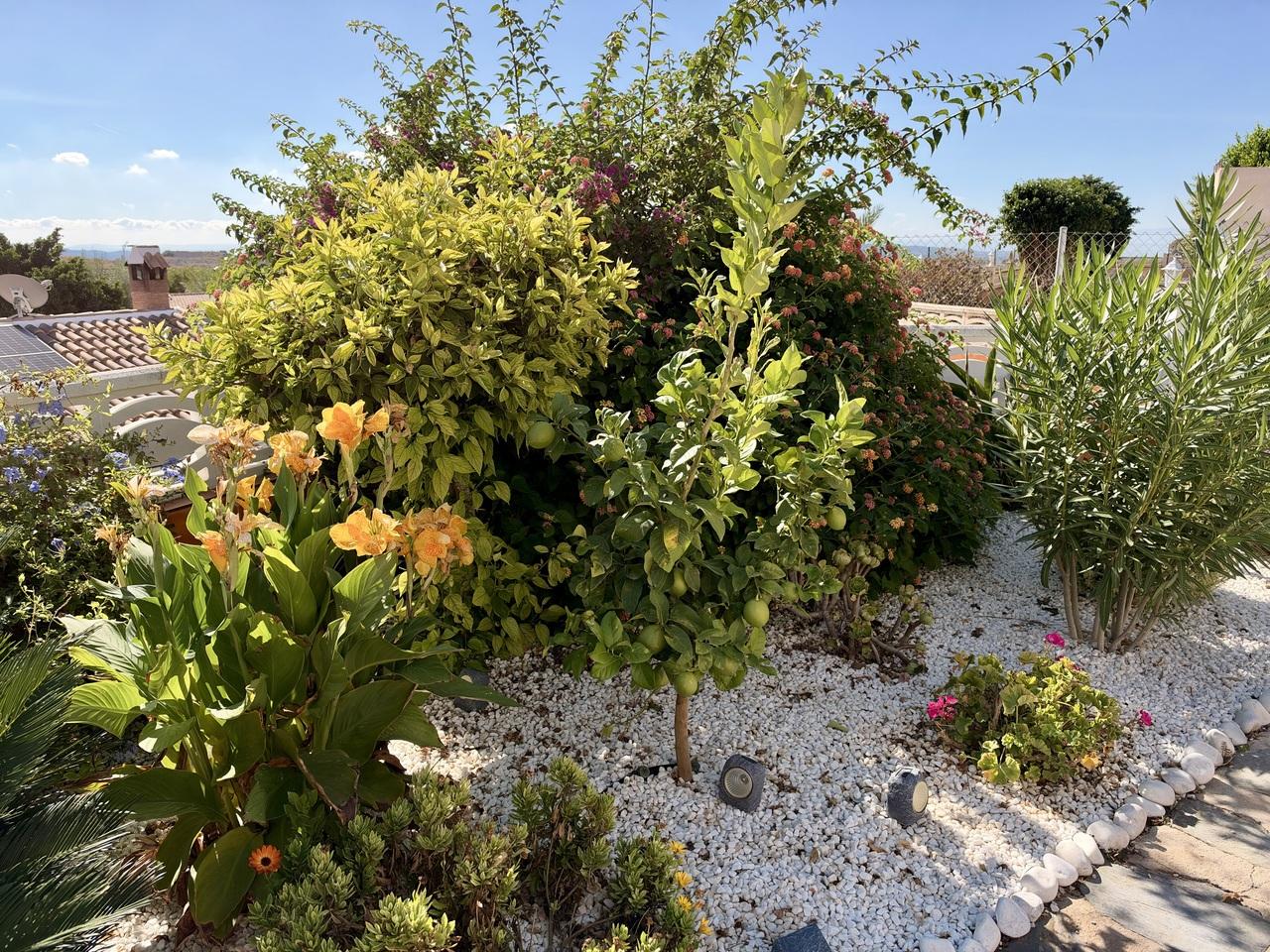 Villa for Sale in Fortuna
